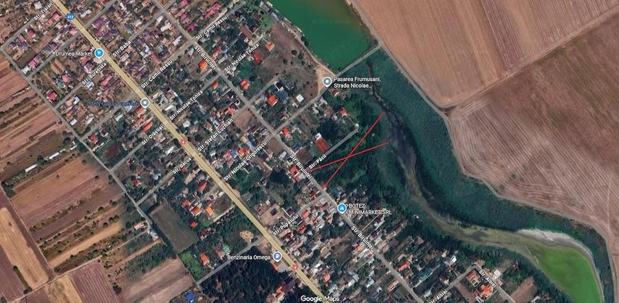 Teren de 10000 mp, în Frumușani