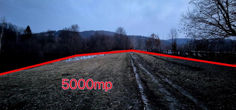 Teren agricol extravilan de 5000 mp, în Șinca Nouă