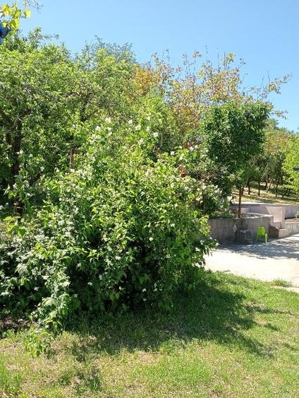 Casă individuală cu 5 camere cu Canalizare în Dragodana