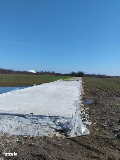 Teren de 700 mp, în Balotești