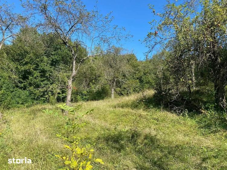 Teren de 2500 mp, în Vișinești