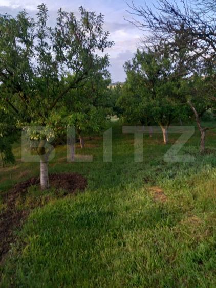 Teren Construcții intravilan de 4447 mp, în Exterior Est
