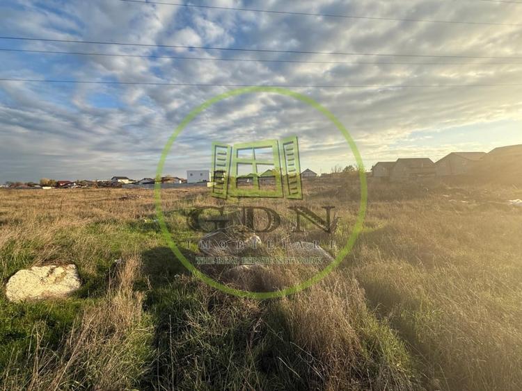 Teren Construcții intravilan de 3600 mp, în Cernele