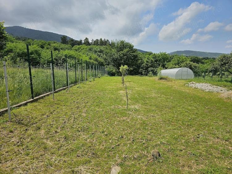 Casă cu 3 camere cu Teren 3042 Mp în Vale