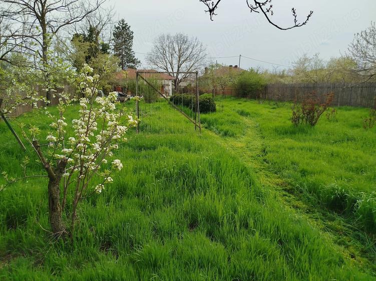 Casă cu 5 camere cu Teren 1450 Mp în Goleasca