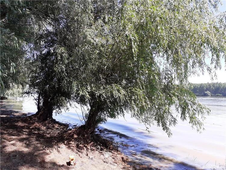 Teren în Mahmudia