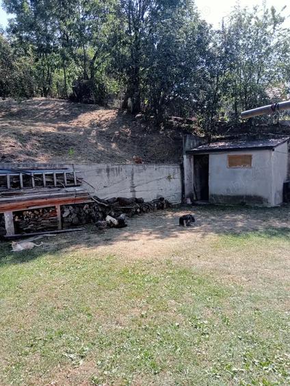 Casă cu 5 camere în Vatra Satului