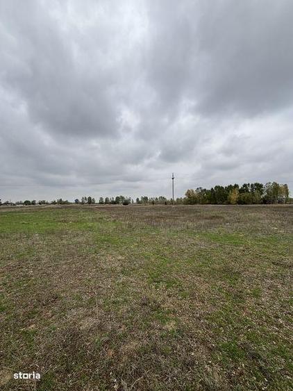 Teren de 14000 mp, în Bratovoești