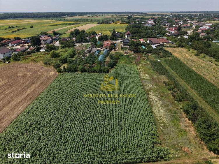 Teren de 2700 mp, în Ciocănești