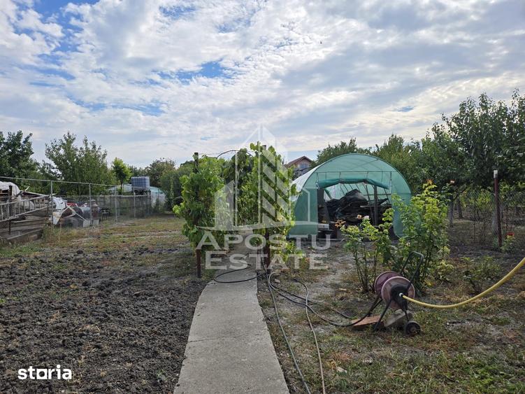 Casă cu 4 camere cu Teren 797 Mp în Mehala