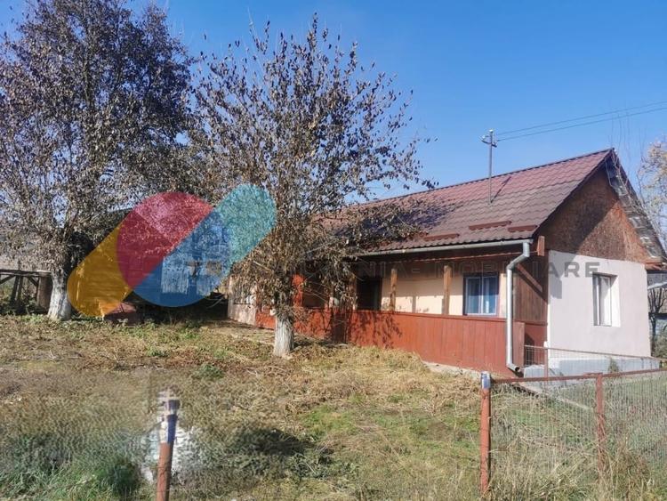 Casă individuală cu 3 camere cu Teren 8000 Mp în Mociu