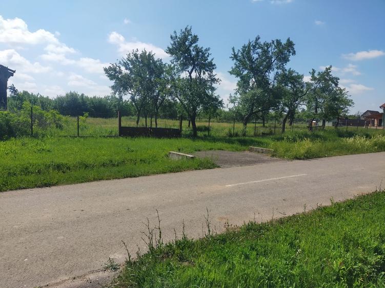 Spațiu comercial, în Alioș