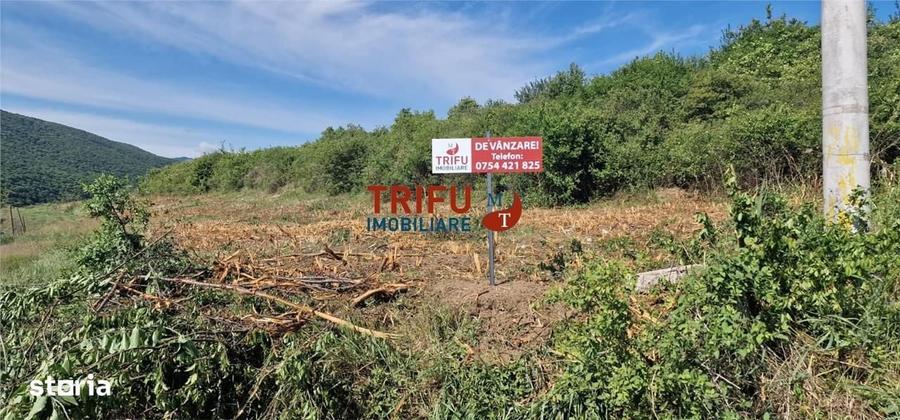 Spațiu comercial, în Șard