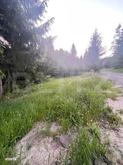 Teren intravilan PARCELABIL de vanzare Colibita - 2
