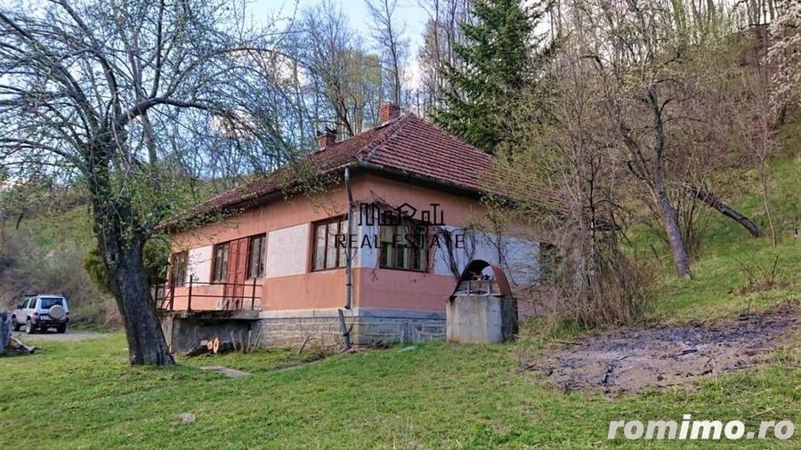 Teren de 69237 mp, în Criș
