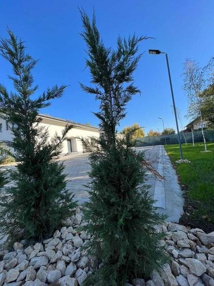 Casă cu 4 camere în Păcuri