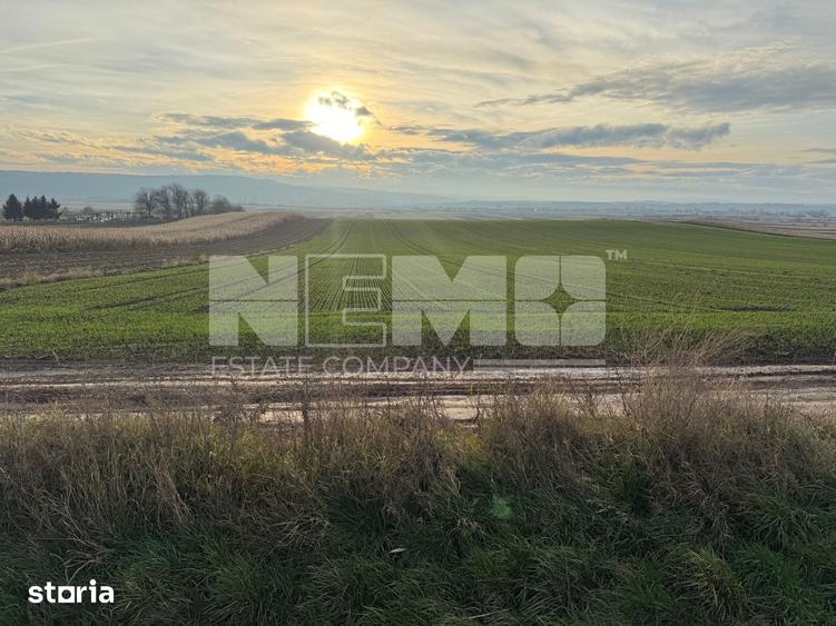 Teren de 1240 mp, în Cacica