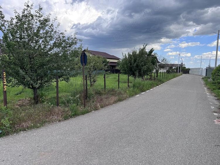 Teren de 1219 mp, în Bănești