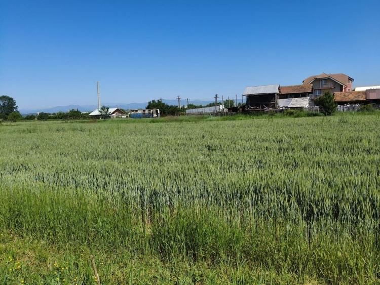 Teren agricol intravilan de 10294 mp, în Sud