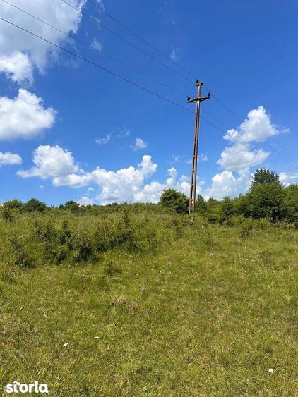 Teren de 54500 mp, în Jibert