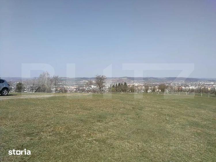 Teren de 15904 mp, în Dâmbu Pietros