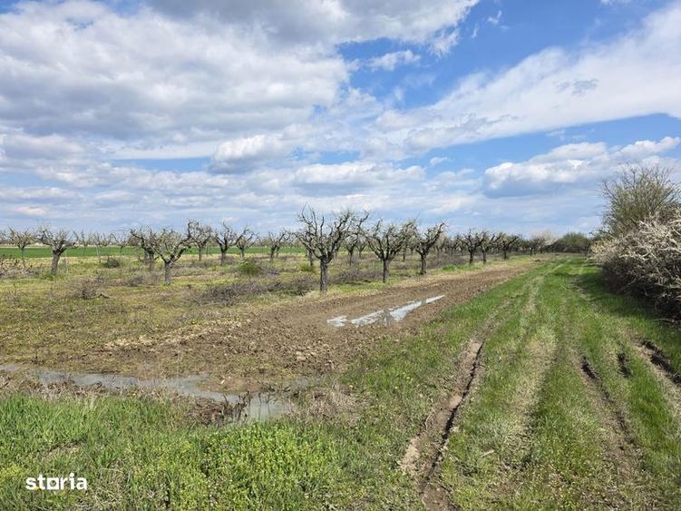 Casă cu 3 camere cu Teren 20000 Mp în Leleasca