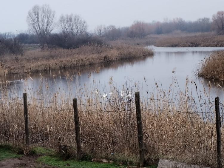 Teren intravilan de 609 mp, în Vidra