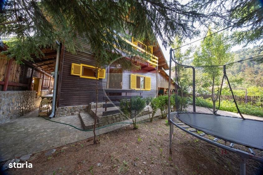 Casa de vacanta, in mijlocul naturii, Azuga! - 16
