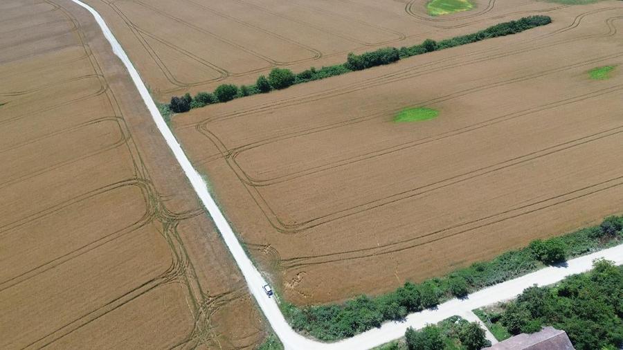 Teren agricol intravilan de 200000 mp, în Ciolpani