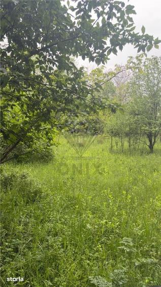 Teren de 1585 mp, în Cornu
