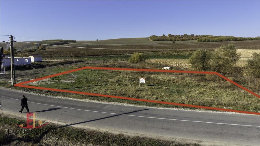 Teren Construcții intravilan de 1500 mp, în Sânpetru de Câmpie