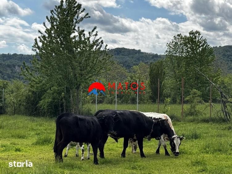 Teren de 5164 mp, în Brebu