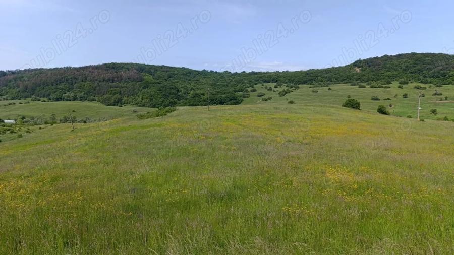 Teren de 30000 mp, în Saschiz