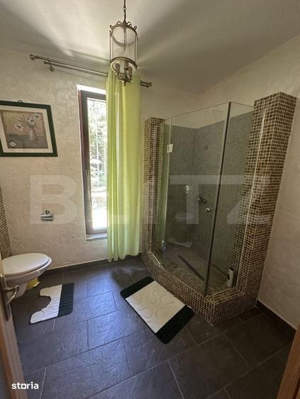Casă cu 4 camere în Colibița