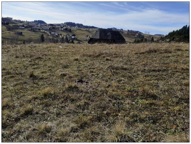 Teren Construcții intravilan de 7000 mp, în Fundata