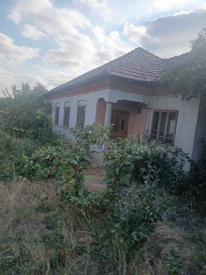 Casă cu 4 camere în Galicea Mare