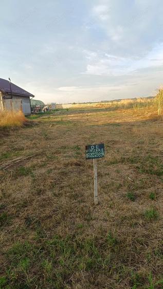 Teren de 1500 mp, în 1 Decembrie