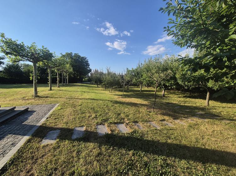 Casă individuală cu 6 camere cu Piscina în Bolintin-Deal