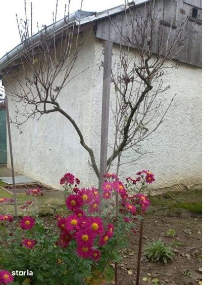 Casă cu 2 camere cu Teren 1807 Mp în Central