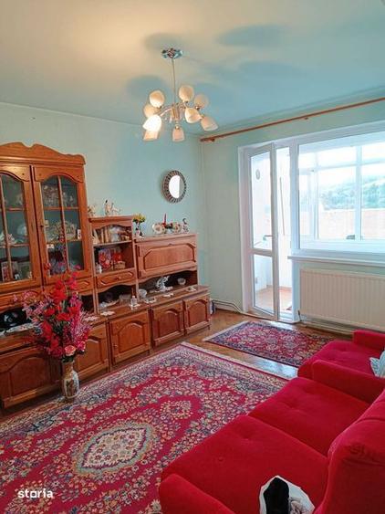 Apartament 3 camere, decomadat, ultracentral Hateg - 7