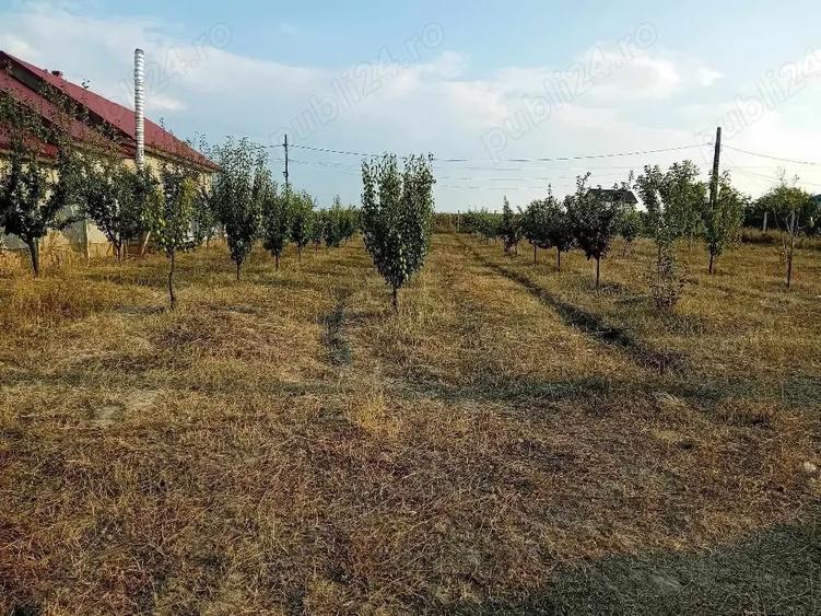 Casă cu 3 camere cu Teren 2100 Mp în Central