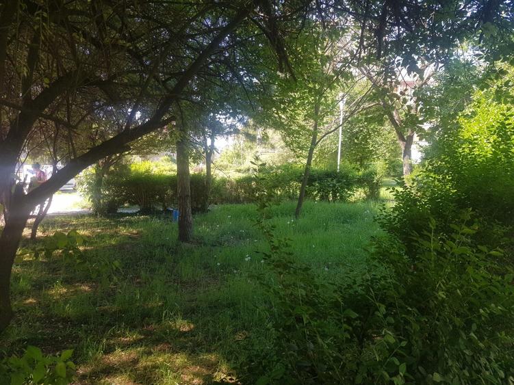 Teren intravilan de 719 mp, în Take Ionescu