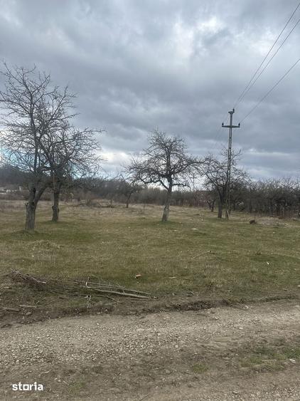 Campina - teren intravilan 4400mp - 17 Euro/mp - 7