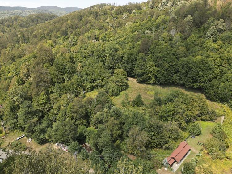 Teren intravilan de 1500 mp pe deal in Moneasa - 1