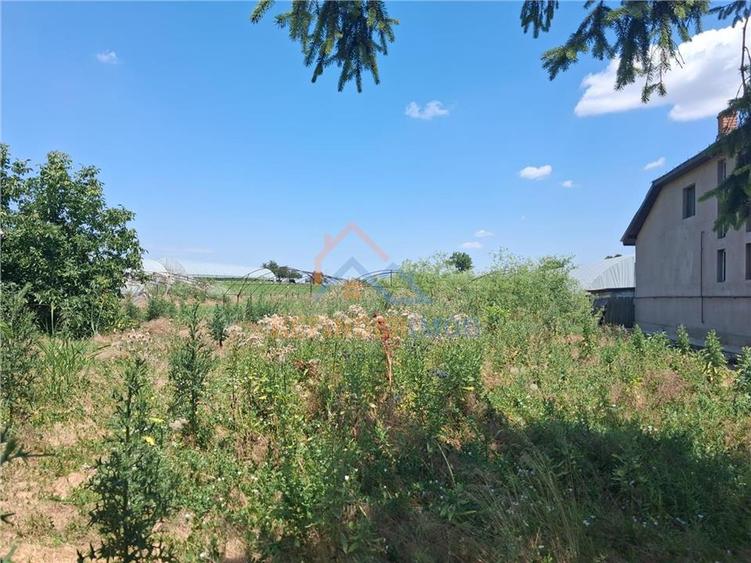 Teren Construcții intravilan de 3524 mp, în Sintești
