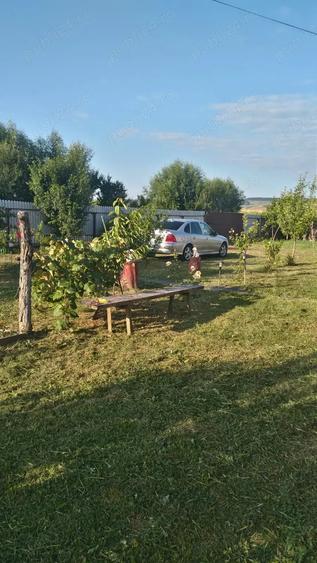 Casă cu 3 camere cu Teren 2500 Mp în Podu Turcului