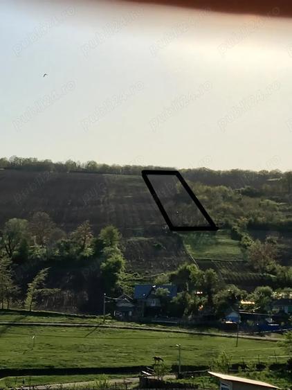 Teren de 10500 mp, în Rediu