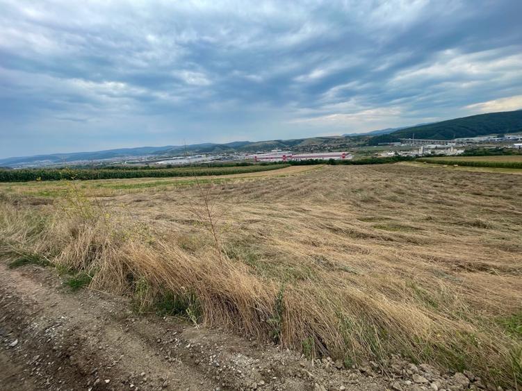 Teren agricol extravilan de 2900 mp, în Gilău