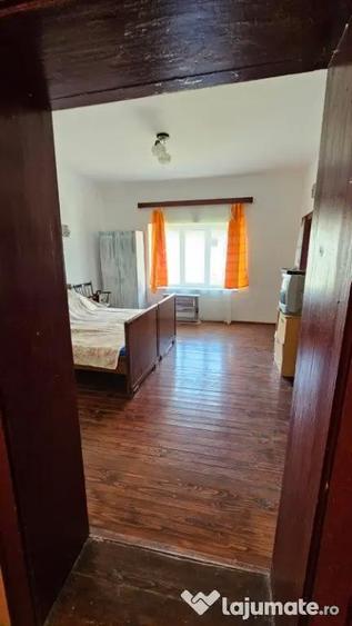 Apa, casa P+M,14 ari teren - 10