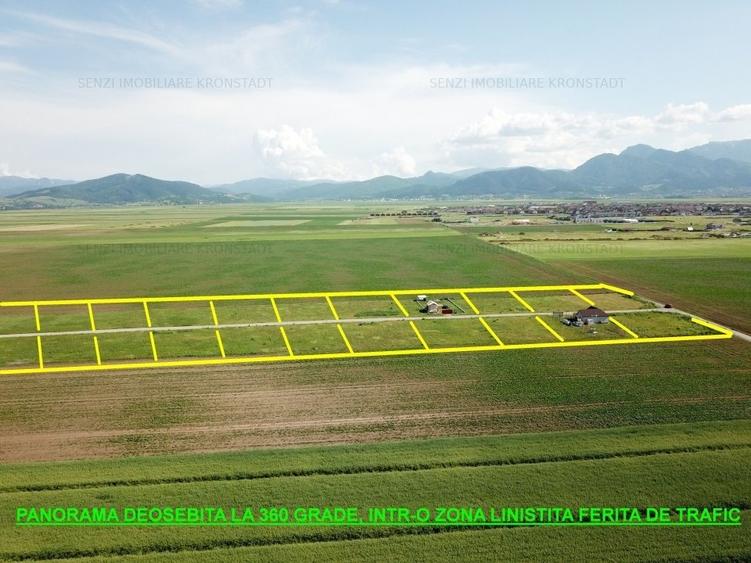 Teren Construcții intravilan de 541 mp, în Tărlungeni